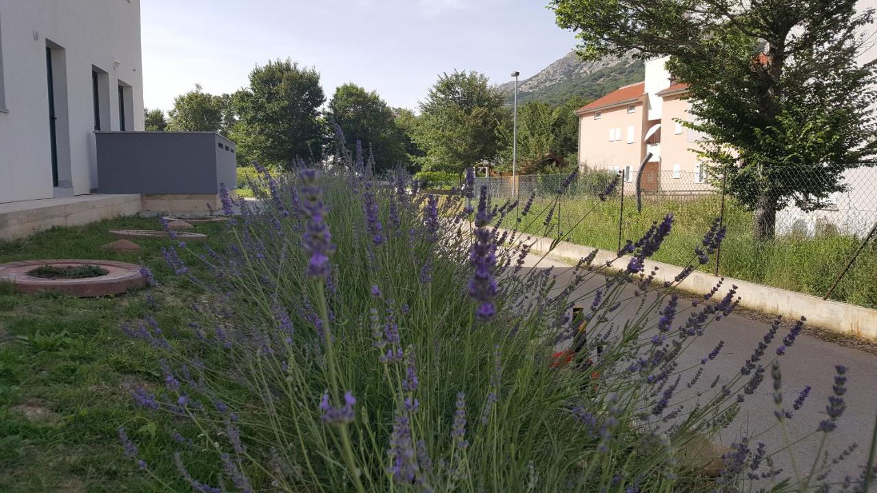 Studios Artemis 巴斯卡 外观 照片